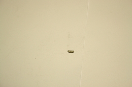 bild 1 produkt: Kil Focs f�r oljepump 12mm