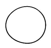 bild 1 produkt: O-ring 99,0 x 3,0 mm