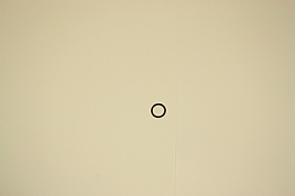 bild 1 produkt: O-ring f�r plugg 5010-24-08  1,78x12,42