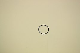 bild 1 produkt: O-ring 36,0x2,0 EPDM
